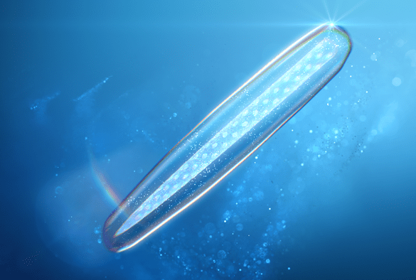 有用成分でコーティングされたイノスピキュールが肌に到達