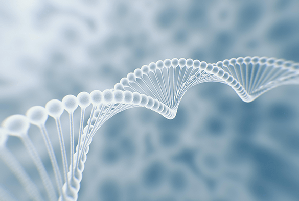 臍帯血を培養し作られたのが【ヒト臍帯血細胞順化培養液】