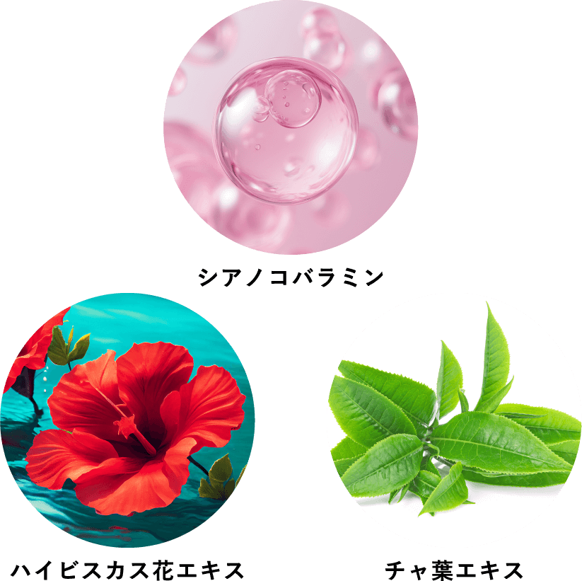 V3エキサイティングファンデーションは肌のために厳選した成分を配合