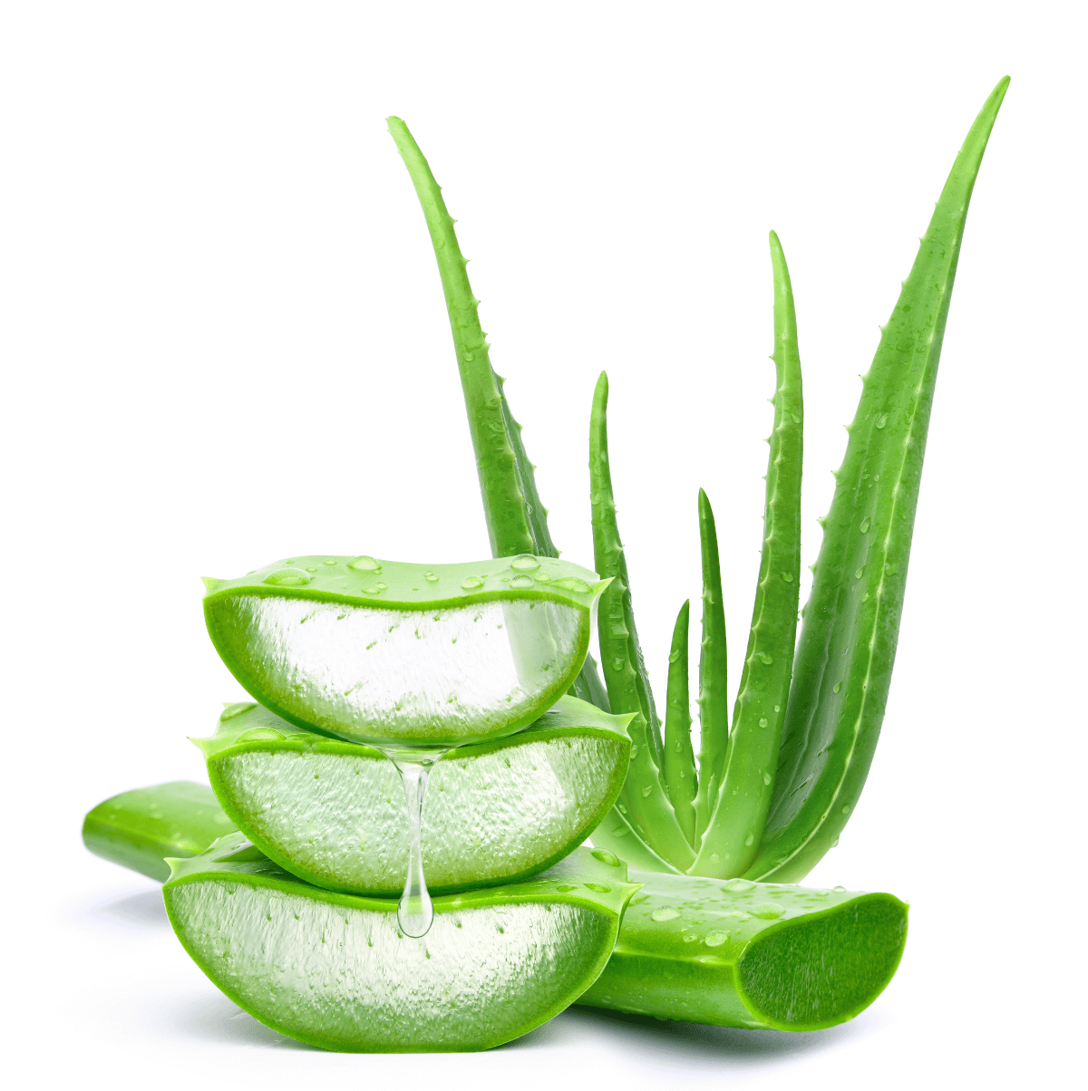 V3エキサイティングファンデーションは肌のために厳選した成分を配合