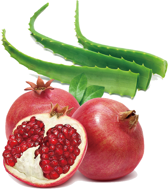 V3ブリリアントファンデーションは独自の有用成分を配合