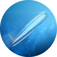 ※ 医療の注射針ではありません