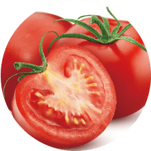 トマト果実小胞