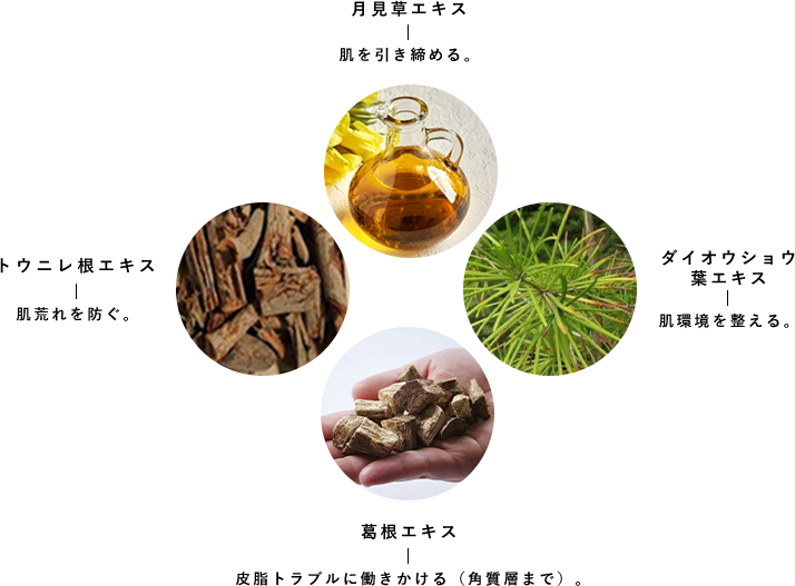 V3エキサイティングファンデーションは肌のために厳選した成分を配合