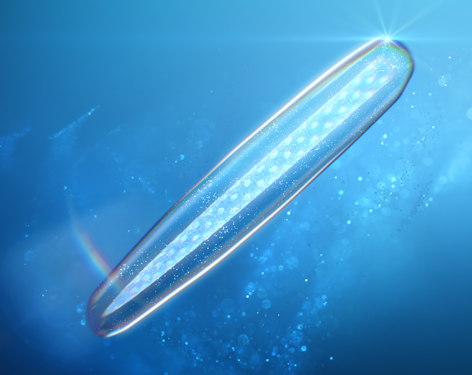 独自開発製法で作られた天然微細針イノスピキュールをSPICAREに配合